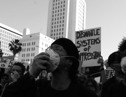 Black Owned: Pandemic and Protests